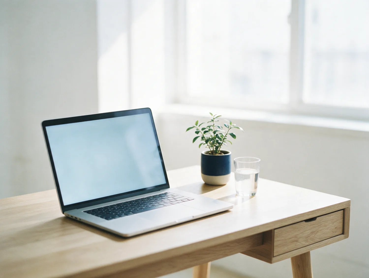 An open laptop on a tidy desk beside a plant, in daylight